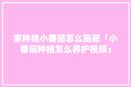 家种给小番茄怎么施肥「小番茄种植怎么养护视频」 家种给小番茄怎么施肥「小番茄种植怎么养护视频」 植物种类