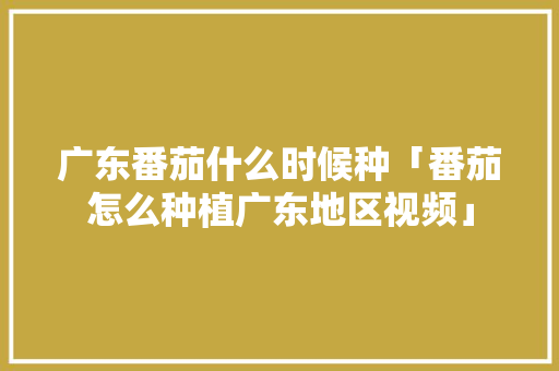 广东番茄什么时候种「番茄怎么种植广东地区视频」