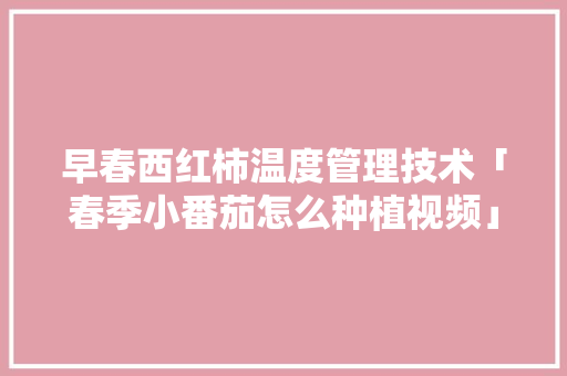 早春西红柿温度管理技术「春季小番茄怎么种植视频」 早春西红柿温度管理技术「春季小番茄怎么种植视频」 土壤施肥