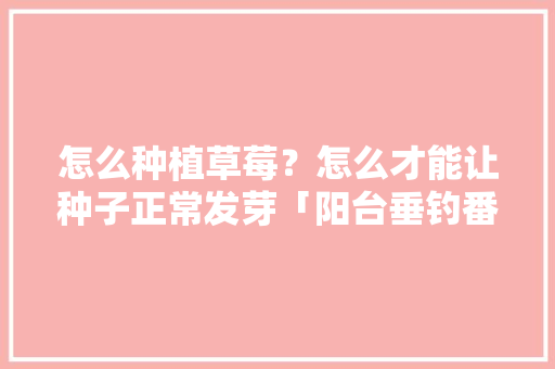 怎么种植草莓？怎么才能让种子正常发芽「阳台垂钓番茄怎么种植的视频」 怎么种植草莓？怎么才能让种子正常发芽「阳台垂钓番茄怎么种植的视频」 番茄种植技巧