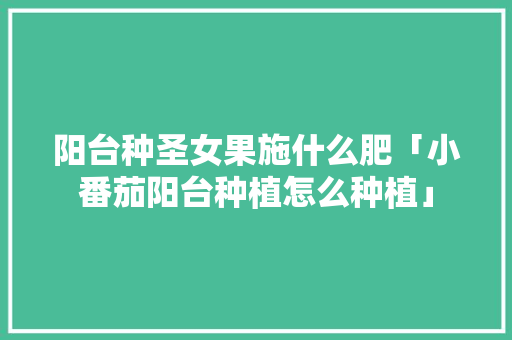 阳台种圣女果施什么肥「小番茄阳台种植怎么种植」 阳台种圣女果施什么肥「小番茄阳台种植怎么种植」 番茄种植技巧