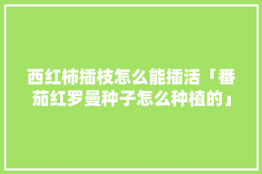 西红柿插枝怎么能插活「番茄红罗曼种子怎么种植的」 西红柿插枝怎么能插活「番茄红罗曼种子怎么种植的」 农业常识