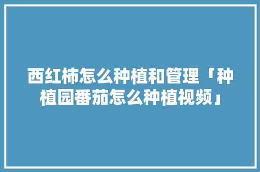 西红柿怎么种植和管理「种植园番茄怎么种植视频」 西红柿怎么种植和管理「种植园番茄怎么种植视频」 土壤施肥