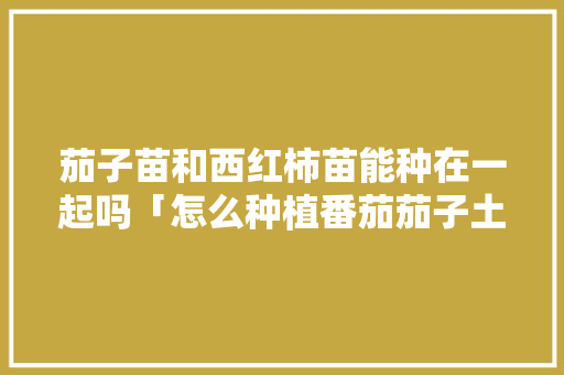 茄子苗和西红柿苗能种在一起吗「怎么种植番茄茄子土豆呢视频」 茄子苗和西红柿苗能种在一起吗「怎么种植番茄茄子土豆呢视频」 种植技巧