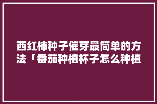 西红柿种子催芽最简单的方法「番茄种植杯子怎么种植的视频」 西红柿种子催芽最简单的方法「番茄种植杯子怎么种植的视频」 番茄病虫害防治