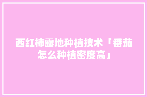 西红柿露地种植技术「番茄怎么种植密度高」 西红柿露地种植技术「番茄怎么种植密度高」 农业常识