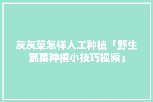 灰灰菜怎样人工种植「野生蔬菜种植小技巧视频」