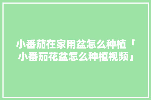 小番茄在家用盆怎么种植「小番茄花盆怎么种植视频」 小番茄在家用盆怎么种植「小番茄花盆怎么种植视频」 农业常识