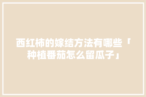 西红柿的嫁结方法有哪些「种植番茄怎么留瓜子」 西红柿的嫁结方法有哪些「种植番茄怎么留瓜子」 番茄种植技巧