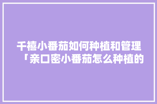千禧小番茄如何种植和管理「亲口密小番茄怎么种植的」 千禧小番茄如何种植和管理「亲口密小番茄怎么种植的」 土壤施肥