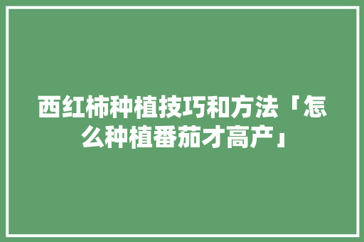 西红柿种植技巧和方法「怎么种植番茄才高产」 西红柿种植技巧和方法「怎么种植番茄才高产」 农业常识