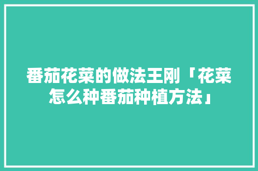 番茄花菜的做法王刚「花菜怎么种番茄种植方法」