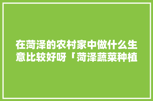 在菏泽的农村家中做什么生意比较好呀「菏泽蔬菜种植基地」