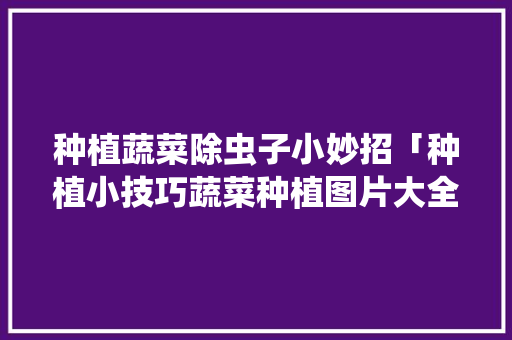 种植蔬菜除虫子小妙招「种植小技巧蔬菜种植图片大全」
