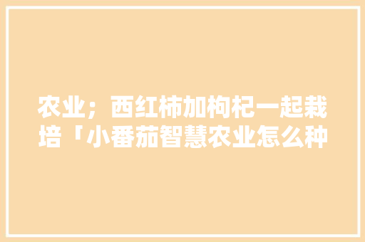 农业；西红柿加枸杞一起栽培「小番茄智慧农业怎么种植的」 农业；西红柿加枸杞一起栽培「小番茄智慧农业怎么种植的」 农业常识