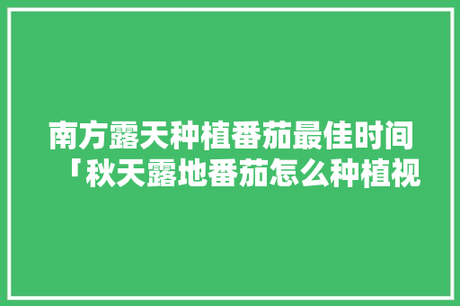 南方露天种植番茄最佳时间「秋天露地番茄怎么种植视频」 南方露天种植番茄最佳时间「秋天露地番茄怎么种植视频」 种植技巧