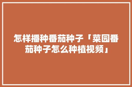 怎样播种番茄种子「菜园番茄种子怎么种植视频」 番茄种植技巧 怎样播种番茄种子「菜园番茄种子怎么种植视频」 怎样播种番茄种子「菜园番茄种子怎么种植视频」 番茄种植技巧