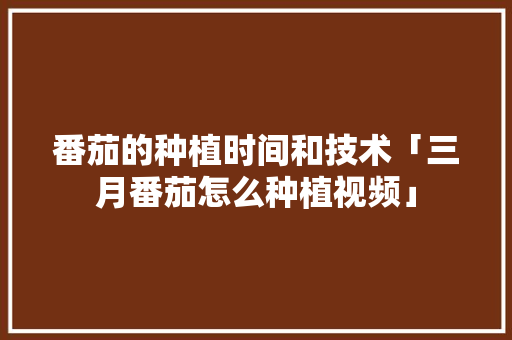 番茄的种植时间和技术「三月番茄怎么种植视频」 植物种类 番茄的种植时间和技术「三月番茄怎么种植视频」 番茄的种植时间和技术「三月番茄怎么种植视频」 植物种类