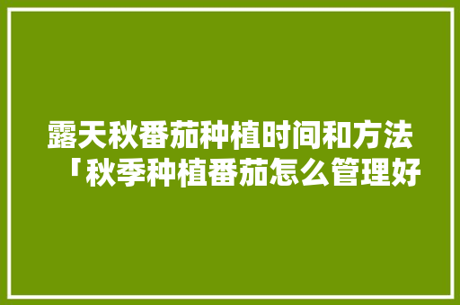 露天秋番茄种植时间和方法「秋季种植番茄怎么管理好」 露天秋番茄种植时间和方法「秋季种植番茄怎么管理好」 番茄种植技巧