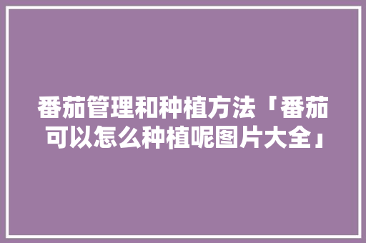 番茄管理和种植方法「番茄可以怎么种植呢图片大全」 番茄管理和种植方法「番茄可以怎么种植呢图片大全」 植物种类