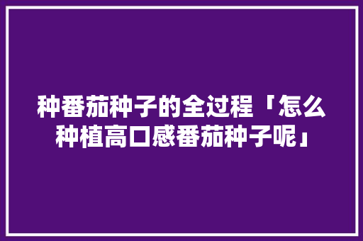 种番茄种子的全过程「怎么种植高口感番茄种子呢」 种番茄种子的全过程「怎么种植高口感番茄种子呢」 植物种类