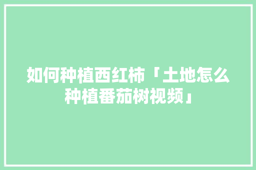 如何种植西红柿「土地怎么种植番茄树视频」 如何种植西红柿「土地怎么种植番茄树视频」 农业常识