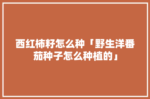 西红柿籽怎么种「野生洋番茄种子怎么种植的」 番茄种植技巧 西红柿籽怎么种「野生洋番茄种子怎么种植的」 西红柿籽怎么种「野生洋番茄种子怎么种植的」 番茄种植技巧