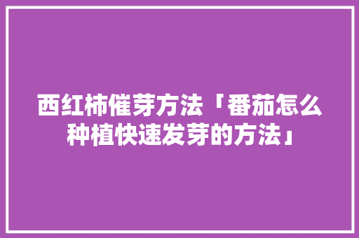 西红柿催芽方法「番茄怎么种植快速发芽的方法」 西红柿催芽方法「番茄怎么种植快速发芽的方法」 番茄病虫害防治