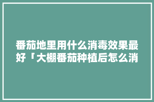 番茄地里用什么消毒效果最好「大棚番茄种植后怎么消毒呢」