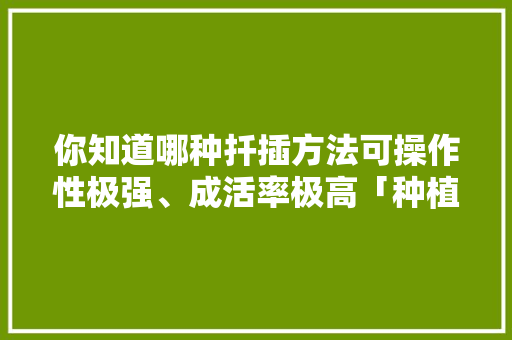 你知道哪种扦插方法可操作性极强、成活率极高「种植番茄竹签怎么插枝的视频」