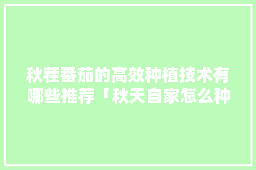 秋茬番茄的高效种植技术有哪些推荐「秋天自家怎么种植番茄呢视频」 秋茬番茄的高效种植技术有哪些推荐「秋天自家怎么种植番茄呢视频」 种植技巧