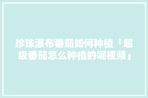 珍珠瀑布番茄如何种植「超级番茄怎么种植的呢视频」 珍珠瀑布番茄如何种植「超级番茄怎么种植的呢视频」 番茄病虫害防治