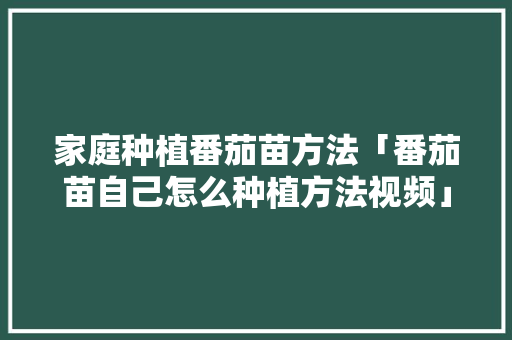 家庭种植番茄苗方法「番茄苗自己怎么种植方法视频」 家庭种植番茄苗方法「番茄苗自己怎么种植方法视频」 番茄病虫害防治