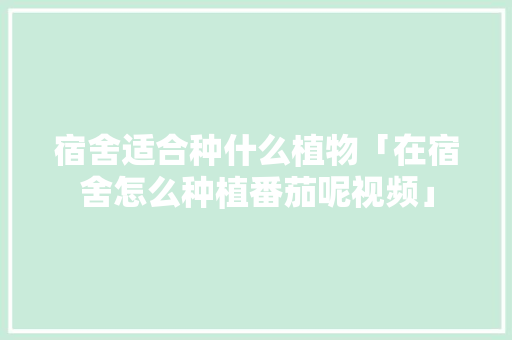 宿舍适合种什么植物「在宿舍怎么种植番茄呢视频」