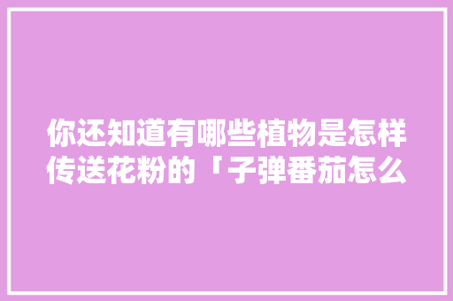 你还知道有哪些植物是怎样传送花粉的「子弹番茄怎么种植的视频」