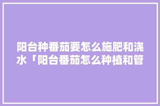 阳台种番茄要怎么施肥和浇水「阳台番茄怎么种植和管理视频」 阳台种番茄要怎么施肥和浇水「阳台番茄怎么种植和管理视频」 花朵知识