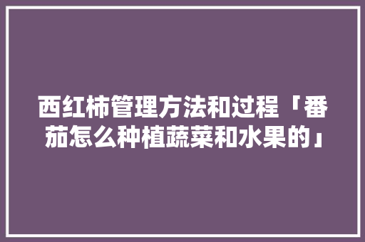 西红柿管理方法和过程「番茄怎么种植蔬菜和水果的」 西红柿管理方法和过程「番茄怎么种植蔬菜和水果的」 种植技巧