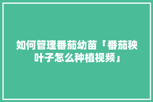 如何管理番茄幼苗「番茄秧叶子怎么种植视频」 如何管理番茄幼苗「番茄秧叶子怎么种植视频」 番茄病虫害防治