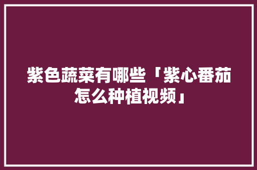 紫色蔬菜有哪些「紫心番茄怎么种植视频」