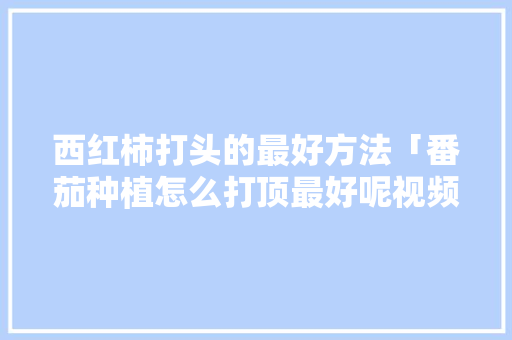 西红柿打头的最好方法「番茄种植怎么打顶最好呢视频」 西红柿打头的最好方法「番茄种植怎么打顶最好呢视频」 番茄种植技巧