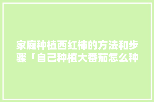 家庭种植西红柿的方法和步骤「自己种植大番茄怎么种植」 家庭种植西红柿的方法和步骤「自己种植大番茄怎么种植」 番茄病虫害防治