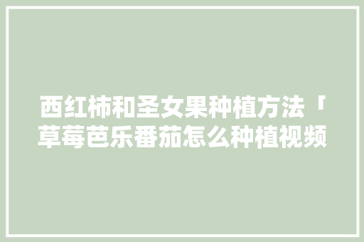 西红柿和圣女果种植方法「草莓芭乐番茄怎么种植视频」 西红柿和圣女果种植方法「草莓芭乐番茄怎么种植视频」 土壤施肥