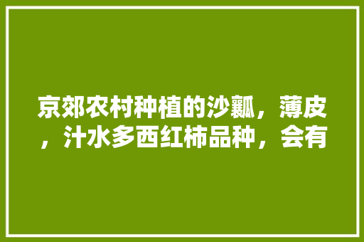 京郊农村种植的沙瓤，薄皮，汁水多西红柿品种，会有人购买吗「种植薄皮番茄怎么种植的」 京郊农村种植的沙瓤，薄皮，汁水多西红柿品种，会有人购买吗「种植薄皮番茄怎么种植的」 植物种类