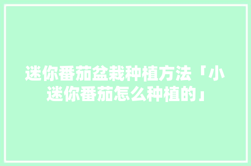 迷你番茄盆栽种植方法「小迷你番茄怎么种植的」 迷你番茄盆栽种植方法「小迷你番茄怎么种植的」 土壤施肥