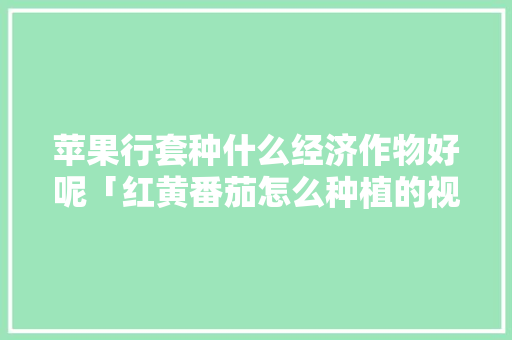 苹果行套种什么经济作物好呢「红黄番茄怎么种植的视频」 农业常识 苹果行套种什么经济作物好呢「红黄番茄怎么种植的视频」 苹果行套种什么经济作物好呢「红黄番茄怎么种植的视频」 农业常识