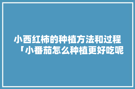 小西红柿的种植方法和过程「小番茄怎么种植更好吃呢」 小西红柿的种植方法和过程「小番茄怎么种植更好吃呢」 番茄病虫害防治