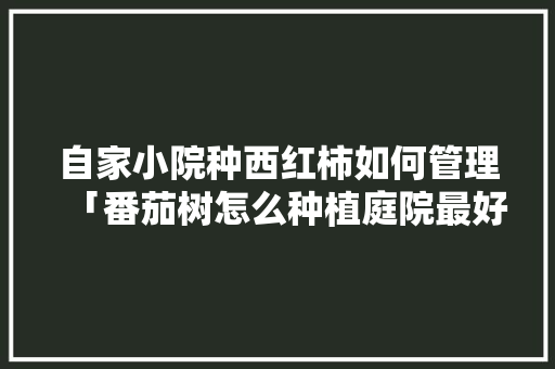 自家小院种西红柿如何管理「番茄树怎么种植庭院最好」 自家小院种西红柿如何管理「番茄树怎么种植庭院最好」 花朵知识