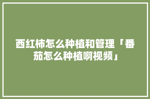 西红柿怎么种植和管理「番茄怎么种植啊视频」 西红柿怎么种植和管理「番茄怎么种植啊视频」 土壤施肥