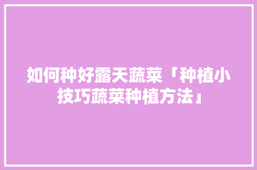 如何种好露天蔬菜「种植小技巧蔬菜种植方法」 如何种好露天蔬菜「种植小技巧蔬菜种植方法」 农业常识