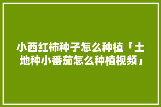 小西红柿种子怎么种植「土地种小番茄怎么种植视频」 小西红柿种子怎么种植「土地种小番茄怎么种植视频」 土壤施肥